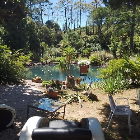 Chambre Studio Verparadis Mourèze Eksteriør bilde