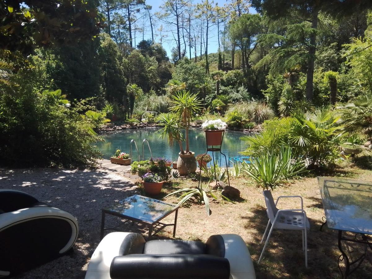 Chambre Studio Verparadis Mourèze Eksteriør bilde